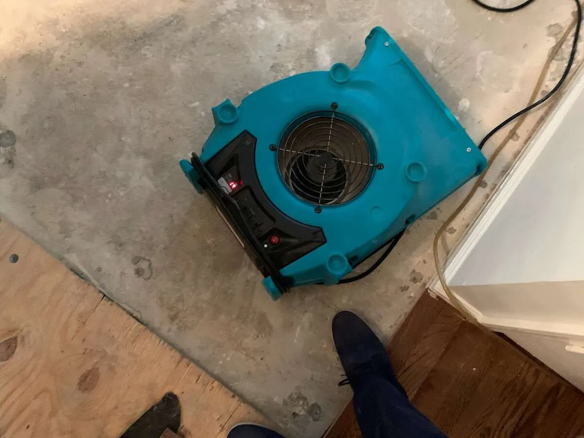 Air mover drying subfloor during Leak Detection & Repair in Inglewood